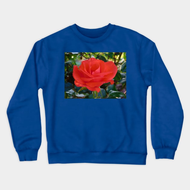 Red rose Crewneck Sweatshirt by FriendlyComputerHelp